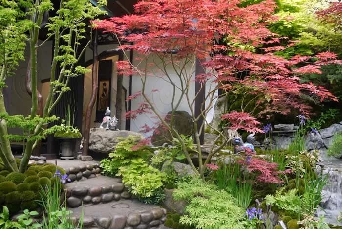 Chelsea Japanese Garden
