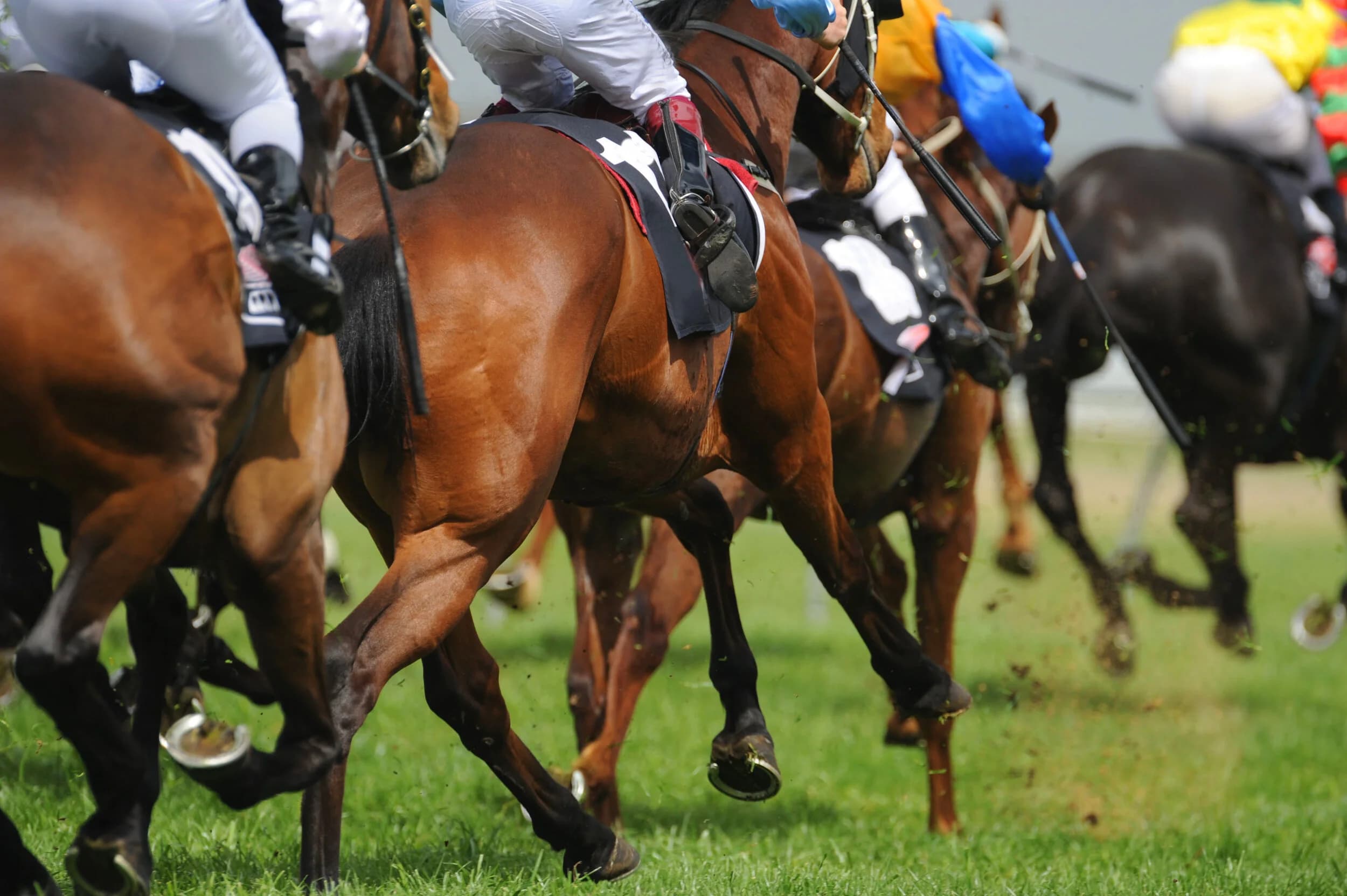 Royal Ascot